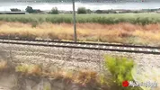 Public Sex in the Train, risky flashing, doggystyle and cumwalk / Real Amateur Couple